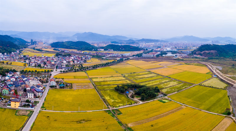 土地增值税计算方法是什么