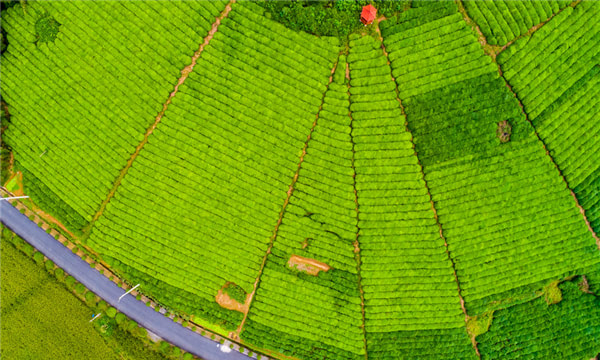 土地使用權合同范本