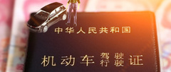 驾照规定