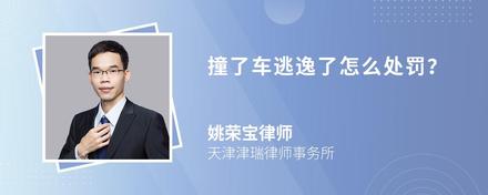 撞了车逃逸了怎么处罚？