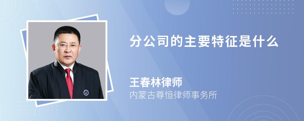 分公司的主要特征是什么