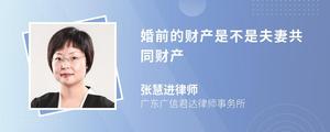 婚前的财产是不是夫妻共同财产