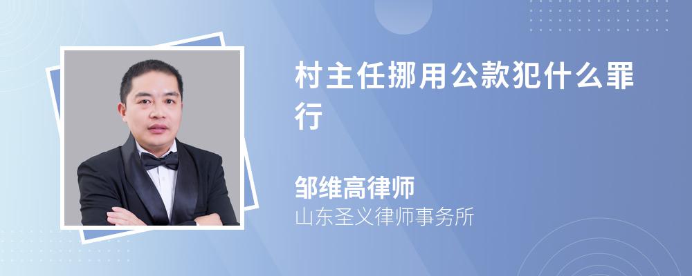 村主任挪用公款犯什么罪行