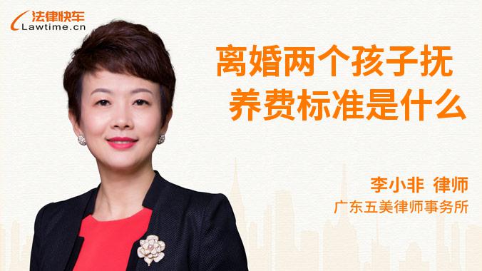 离婚两个孩子抚养费标准是什么