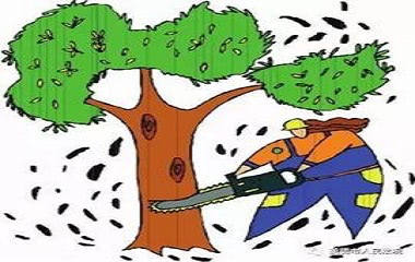 盗伐林木罪与盗窃罪的区别