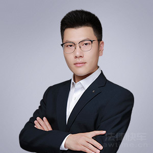 铁西区律师-刘成琳律师