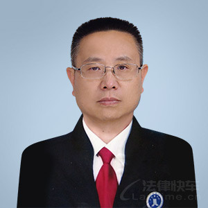 北京律师-童律师律师