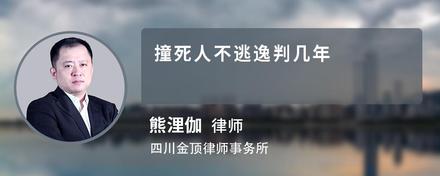 撞死人不逃逸判几年