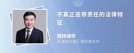 联结体责任如何分担 (联合体责任承担)