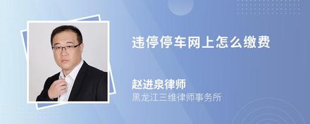 违停停车网上怎么缴费