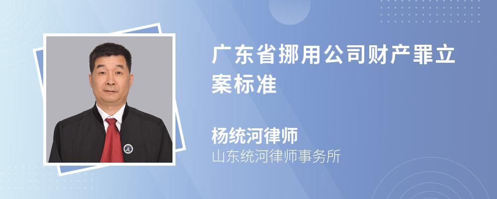 广东省挪用公司财产罪立案标准