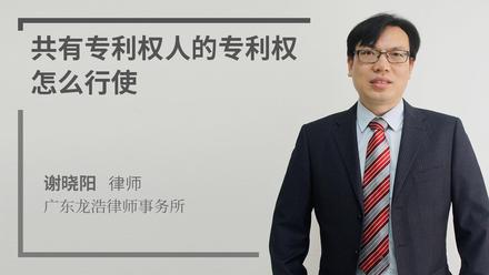 共有专利权人的专利权怎么行使